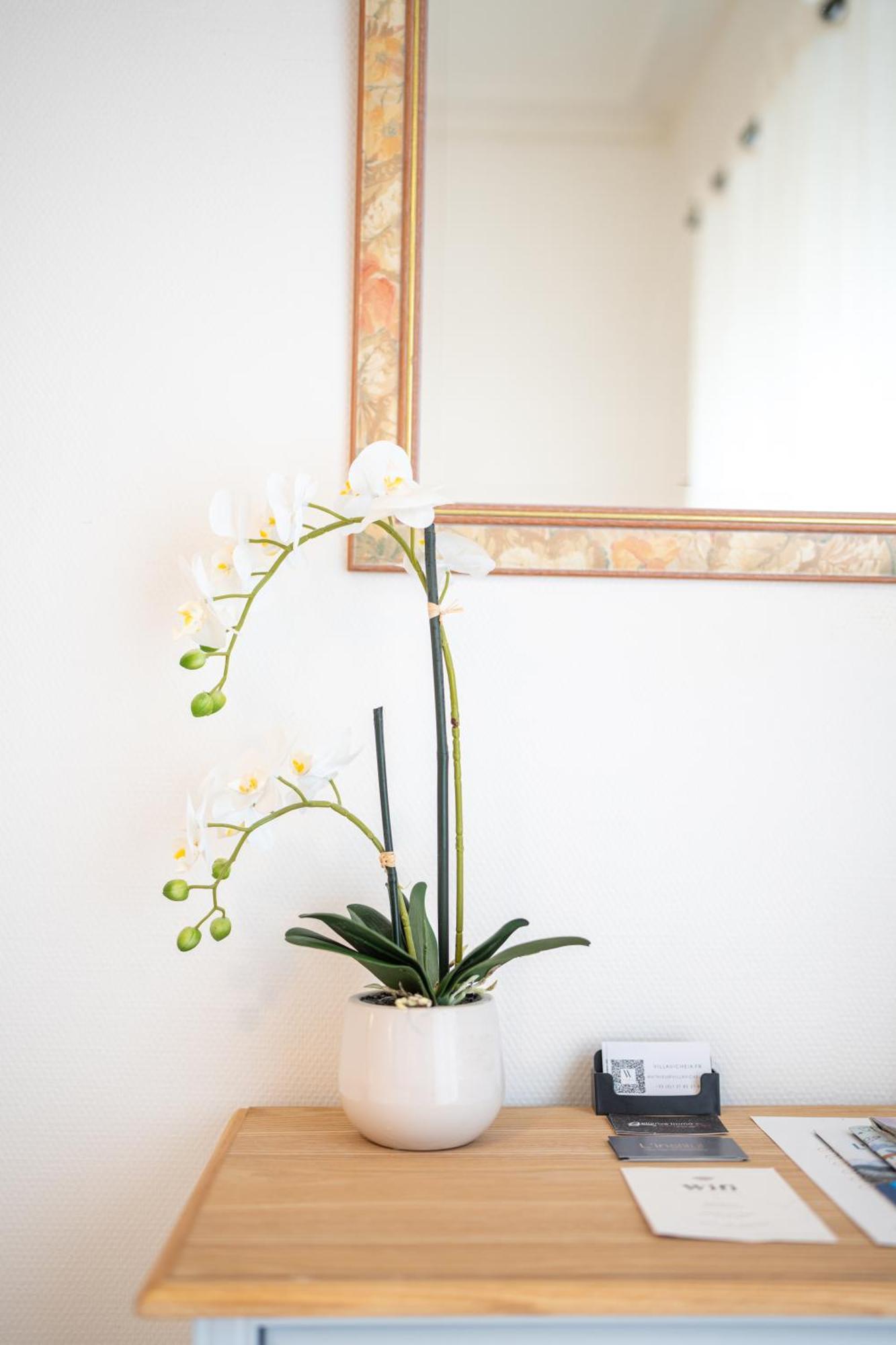 Villa Vicheia - Appartement 2 비시 외부 사진